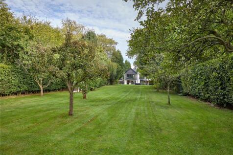 Broad View_Exterior_009.jpg