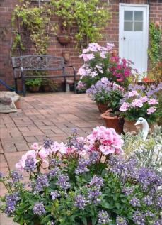 Property Image 56