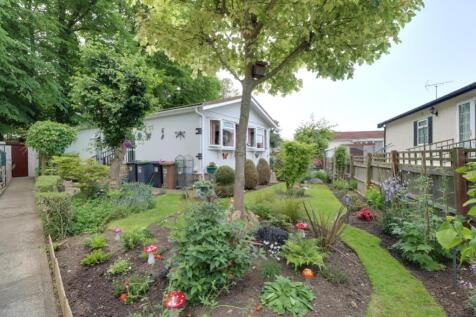Back Garden