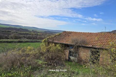 Brick outbuilding with a tiled roof partially covered by vines and surrounded by wild plants