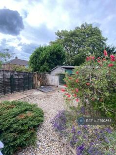 Back Garden