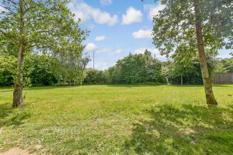 Views To Front