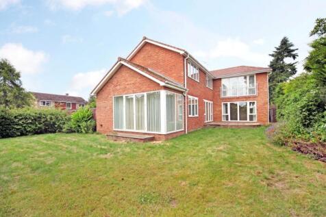 42 Pound Lane 131...