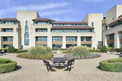 External Gardens 2.jpg