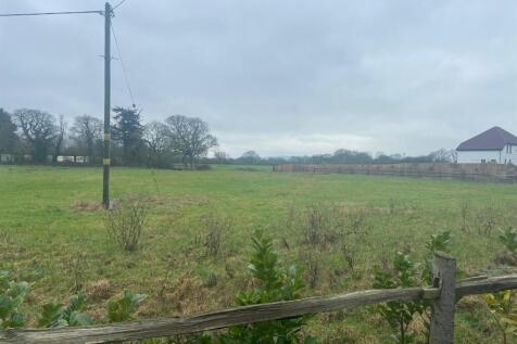 alternate view of field from road.jpg