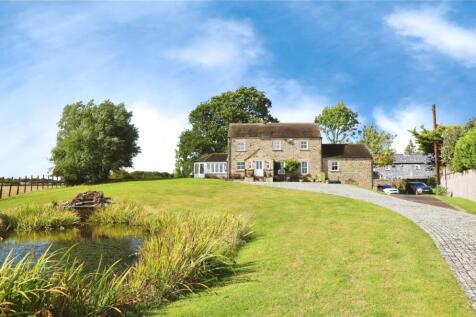 496b9a29-nt 20pond 20zoomed 20in 20slightly 20and 