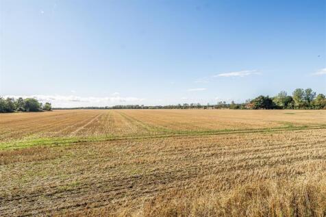 Countryside View