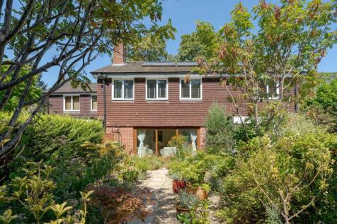 Property Image 41
