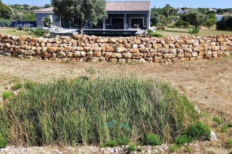 pond fed by swimming pool and invisible gutters