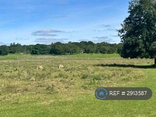 Walking Distance To Richmond Park