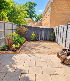 garden 2.jpg