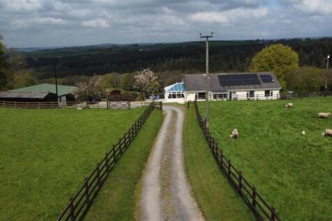 DJI_0659.JPG