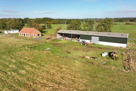 Pine Meadows Walesby 101024 (20).JPG