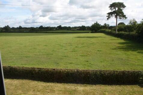 Photo 1. Open field.