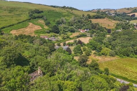 Drone View