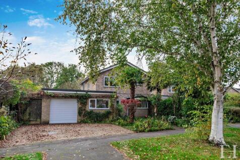 Property Image 26