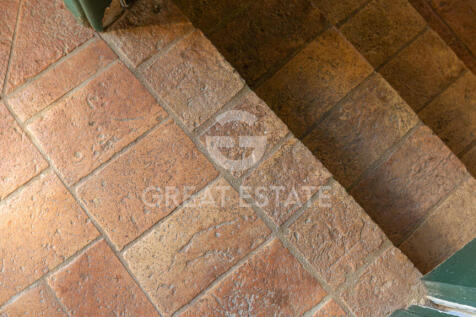 Panorama e Particolari