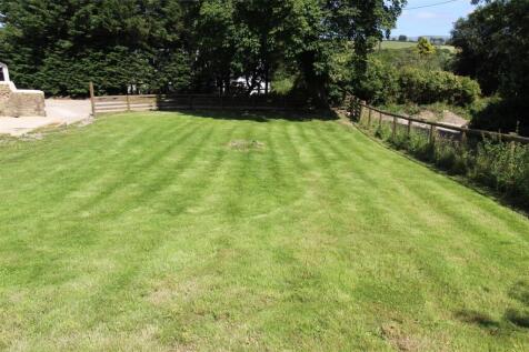 Lawn 1.JPG