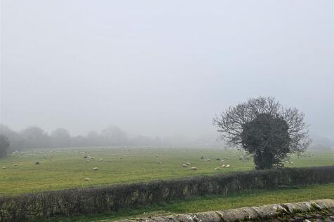 20260309_162818.jpg