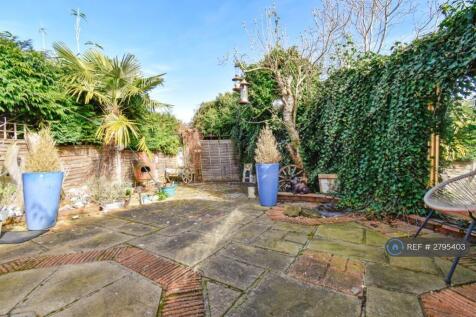 Back Garden