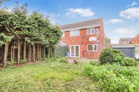 Picture No. 12
