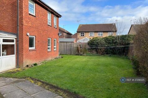 Communal Back Garden