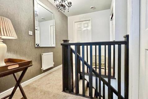 user_edited_photo-1da9047d_user-edited-49b10764-96