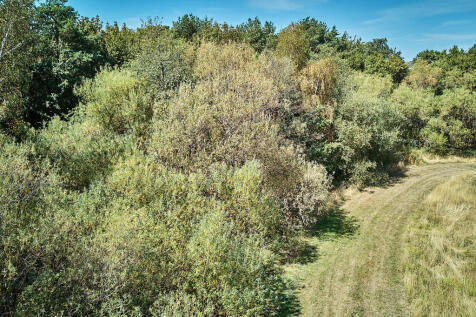DJI 20260812134328 0221 D T202608131302.jpg