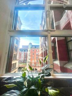 Window View