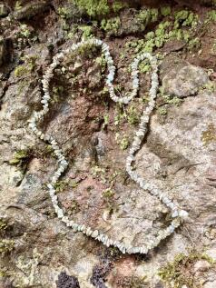 Rock face
