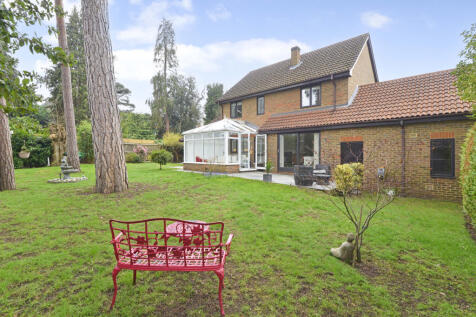 9 Sorbie - rear view garden and house