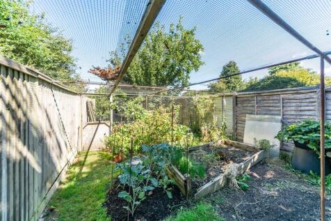 Vegatable gardens...