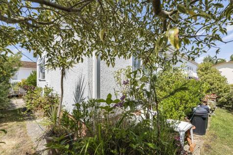 Garden (5)