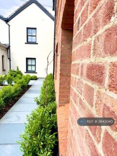 Paving Areas And Shrubs