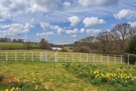 20250321-20250321-DSC07189-Edit (2).jpg