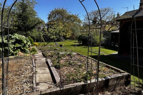 Vegetable Garden