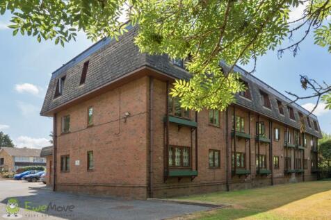 017346e1-62f6-460e-ae3a-e1ae924f19e2