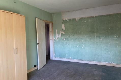 02-12-2025  12-19-04 IMG 4850-min T202512021506.jpeg