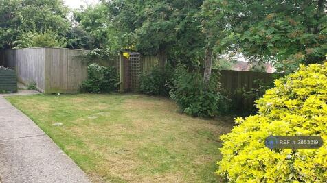 Open Plan Garden