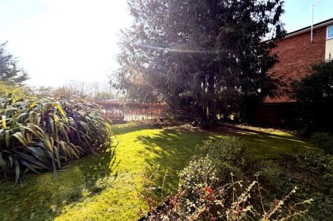Garden space