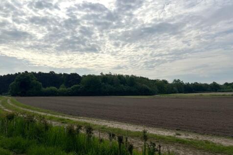 image00033