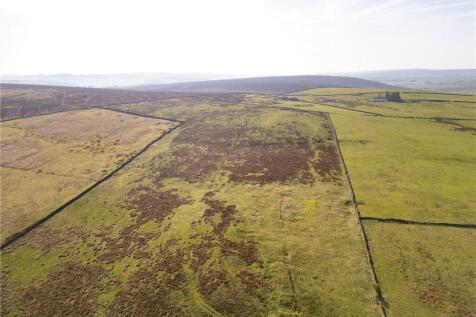 Farm Land for sale Image 3