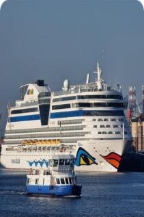 Cruise