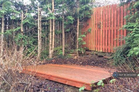Rear Terraced Garden 2/2
