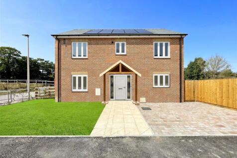 Edited For Marketing