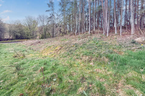 543769_2025041511...