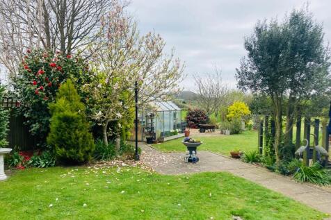 Garden 5