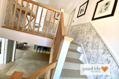 20250809_143436000_iOS 32overthehill.jpg