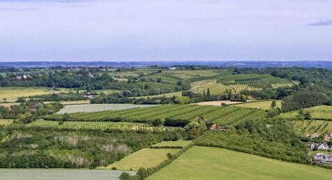 Lot 2 - Orchard.jpg
