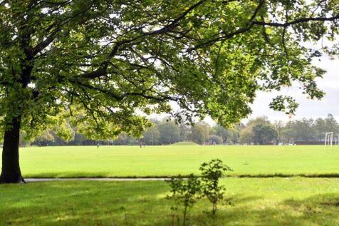 Roath rec.jpg